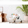 coco go toy bar
